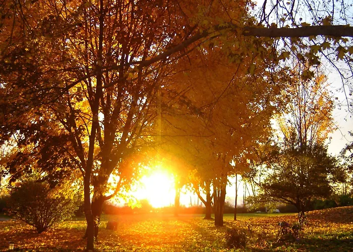 Innisfaire Traverse City